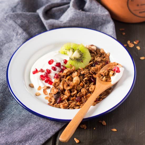 Low-Fat Apple Granola