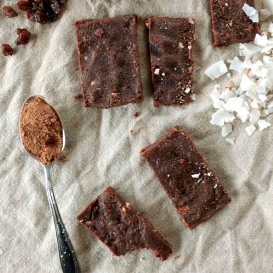 Coconut Cacao Paleo Protein Bars