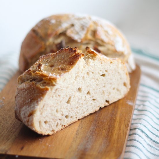 Sourdough Bread Starter