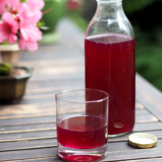 Beetroot Kvass