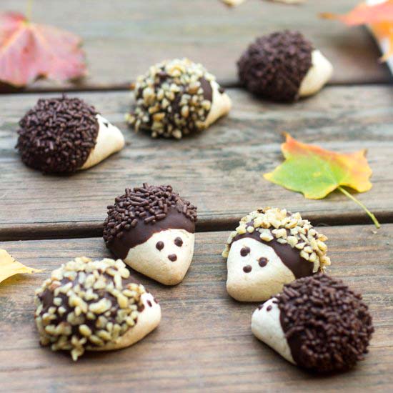 Hedgehog Cookies