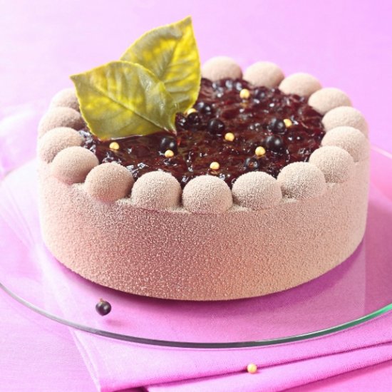 Chocolate Black Currant Mousse Cake