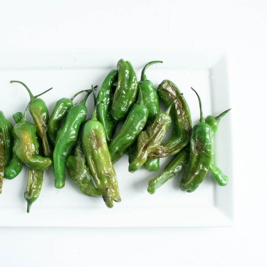 Blistered Shishito Peppers