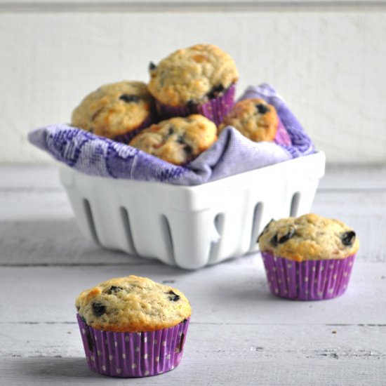 Concord Grape Muffins