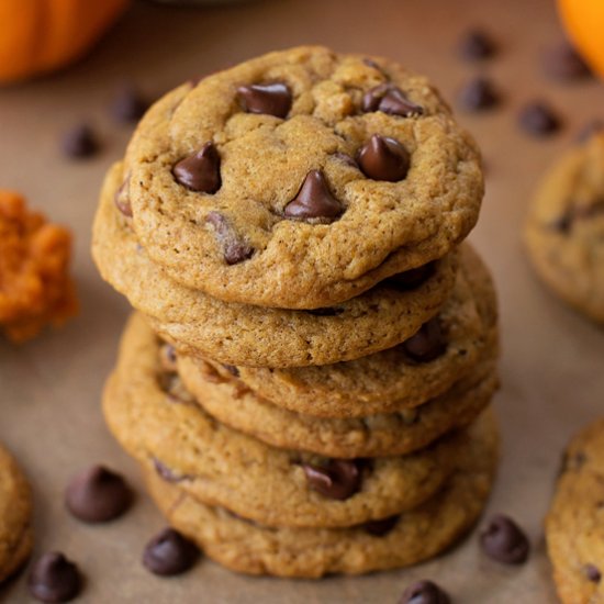 Chewy Pumpkin Chocolate Chip Cookie