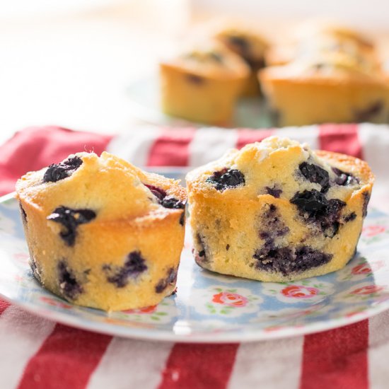 Blueberry Friands