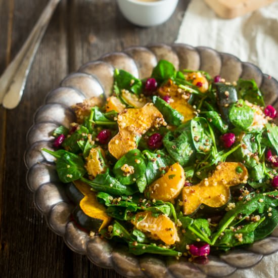 Cranberry Squash & Quinoa Salad