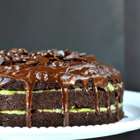 Chocolate Mint Cake