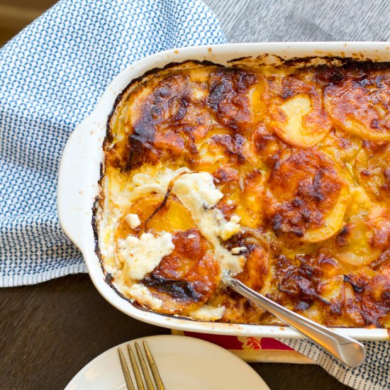 Potato Fennel Gratin