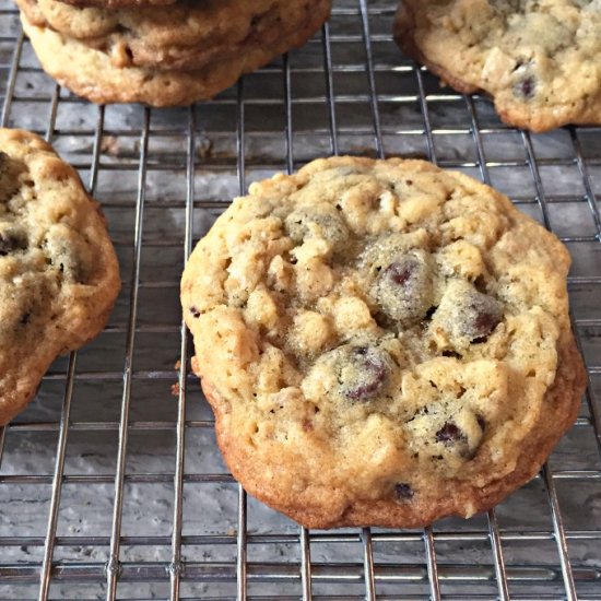 Dark Chocolate Oat Cookies