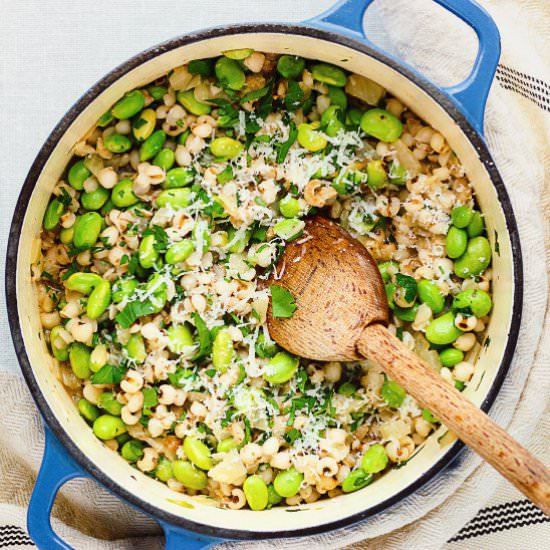 Orzotto with Fennel and Soybeans