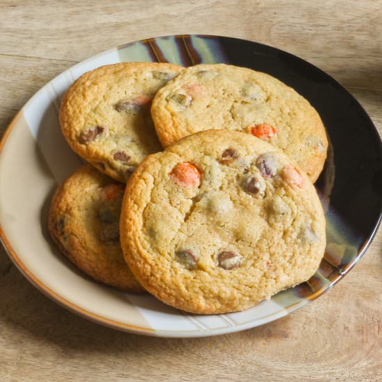 Gluten Free Chocolate Chip Cookies