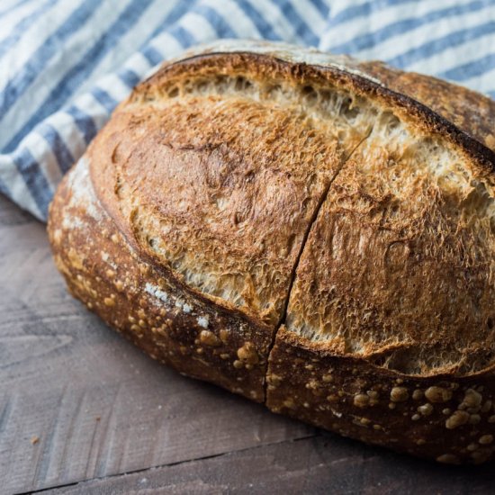 Sourdough Starter Maintenance