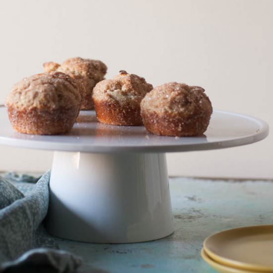 Cinnamon Sugar Oat Muffins