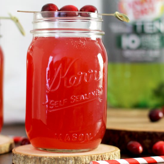 Cranberry Ginger Gin Fizz