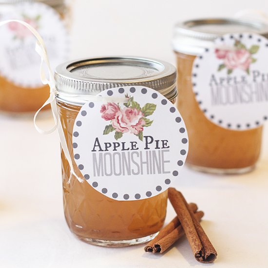 Slow Cooker Apple Pie Moonshine