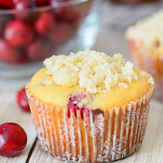 Gluten Free Orange Cranberry Muffin