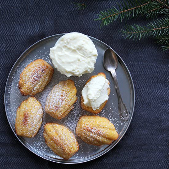 Carrot Madeleines