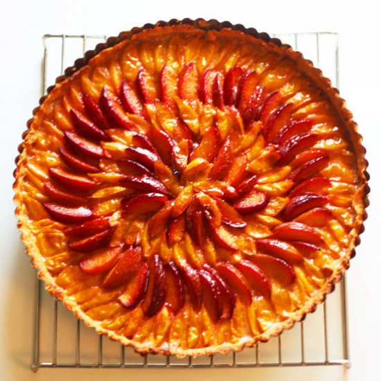 Plum Tart