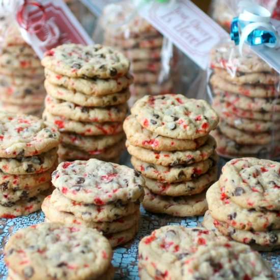 Peppermint Chocolate Chip Cookies