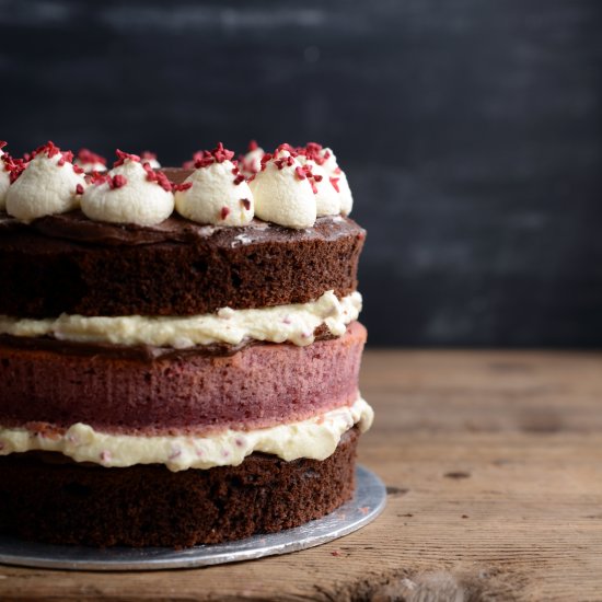 Chocolate and Raspberry Layer Cake