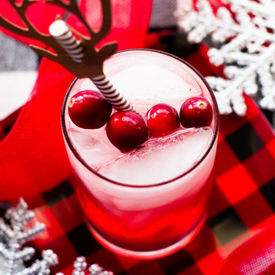 Cranberry Gin Fizz