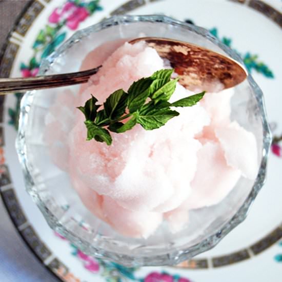 Mint and Sparkling Rose Sorbet