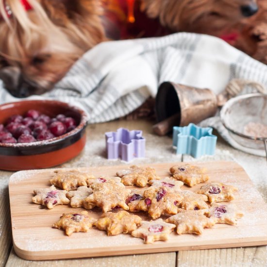 Doggie Holiday Cookies