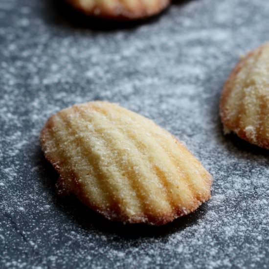 Classic French Madeleine