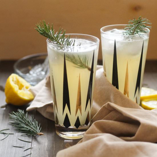 Pine Infused Vodka Sour Cocktail