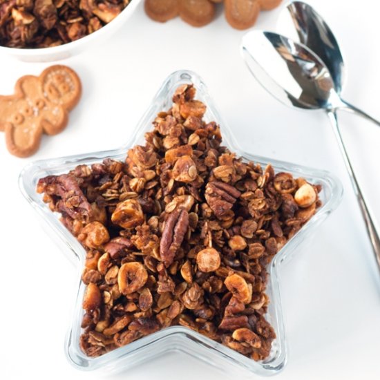 Gluten-Free Gingerbread Granola