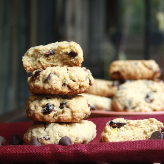 Cranberry Chocolate Oatmeal Cookies