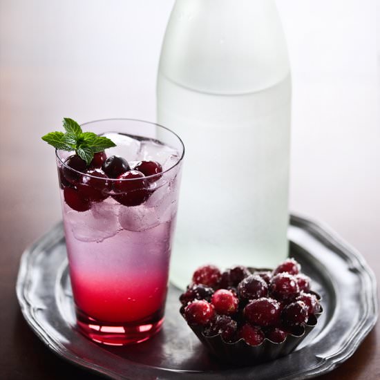 Cranberry n’ Gin Tonic