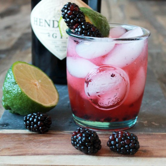 Blackberry-Lime Gin Gimlet