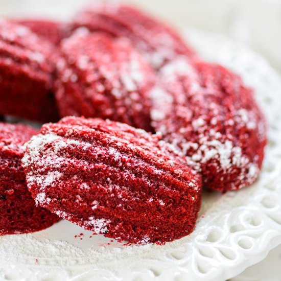 Red Velvet Madeleine