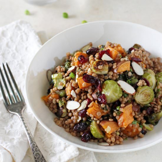 Fall Israeli Couscous Salad