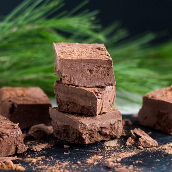 Raw Chocolate Fudge