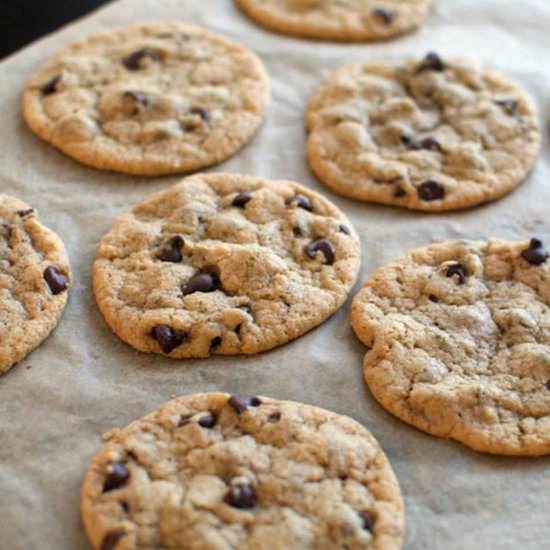 Chewy Chocolate Chip Cookies