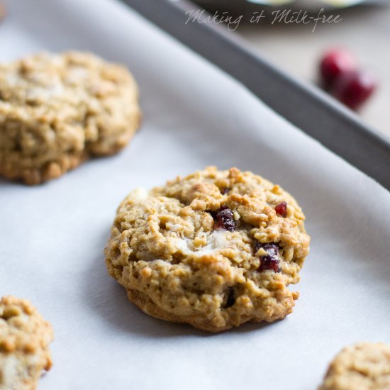 Cranberry Bliss Oatmeal Cookies