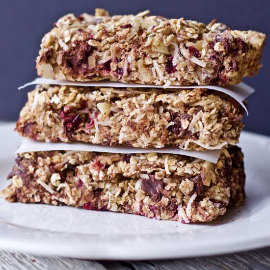 Coconut Cranberry Choco Bars