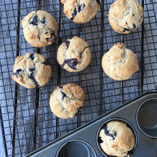 Perfect Blueberry Muffins