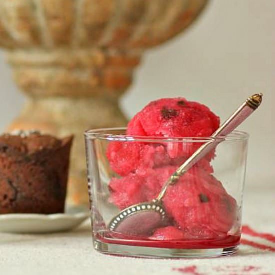 Blood Orange Sorbet