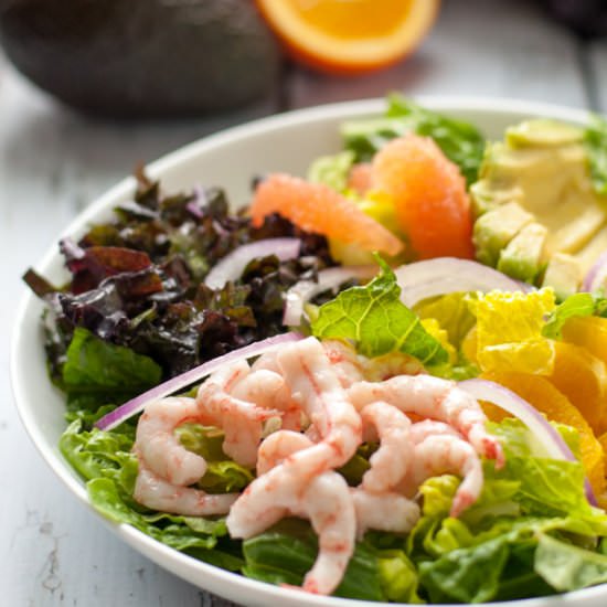 Citrus Avocado Salad with Shrimp