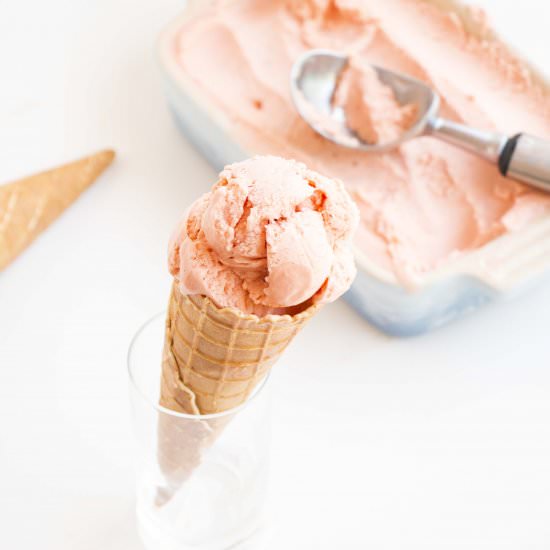 Watermelon Coconut Ice Cream