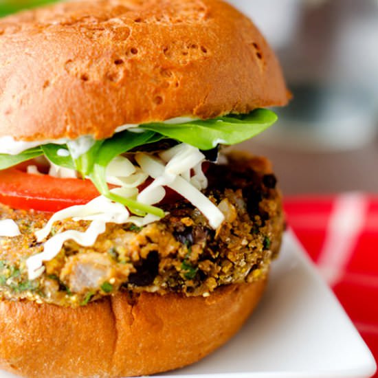 Black Bean, Quinoa and Cheddar Burger