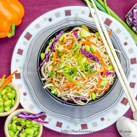 Rainbow Shirataki Noodle