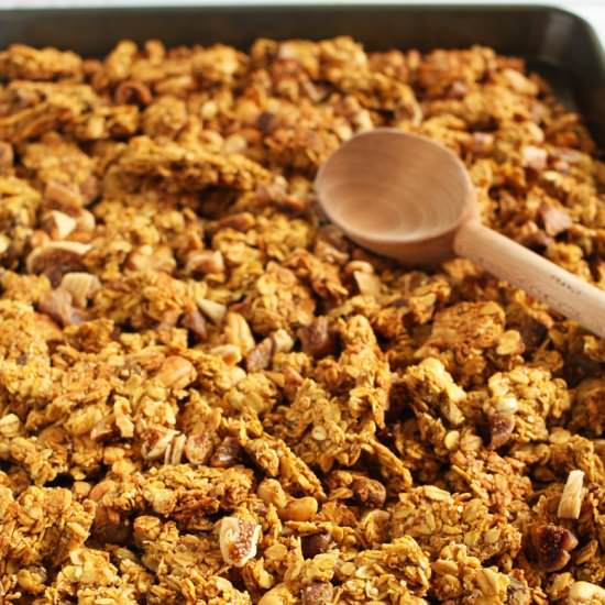 Pumpkin Fig Granola