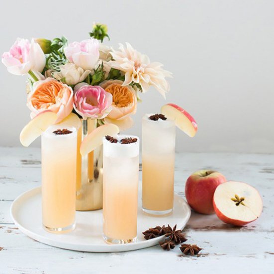 Apple Brandy Allspice Fizz Cocktail