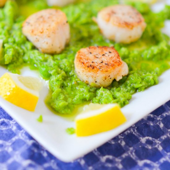 Seared Scallops + Pea Pesto