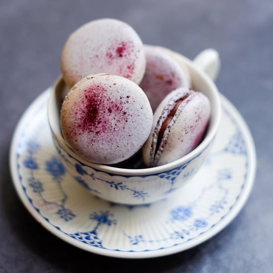 Blueberry Macarons